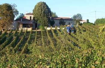 Château Bidonnet Laffitte