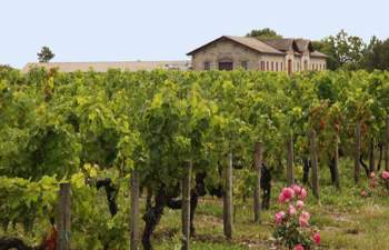 Château Haut Rozier