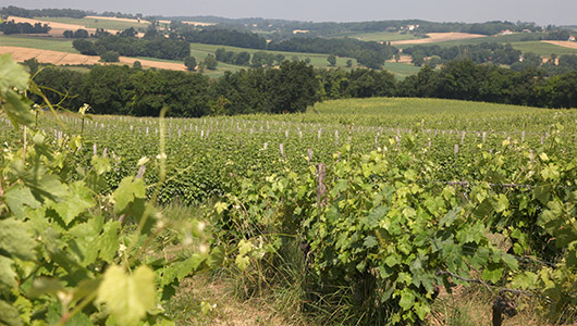 Domaine de Séailles