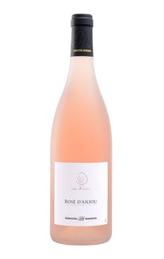 vinho-rose-frances-vallee-de-la-loire-maison-orchidees-rose-anjou