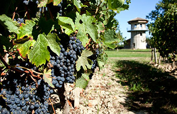 Château La Loubière