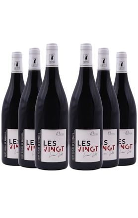 vinho-frances-tinto-vallee-de-la-loire-domaine-olivier-les-vingt-lieux-dits-6-gfas