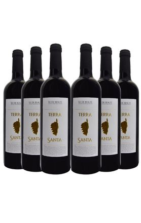 vinho-tinto-frances-corsega-terra-santa-6-gfas