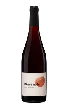 vinho-tinto-frances-famille-descombe-beaujolais-pinot-noir