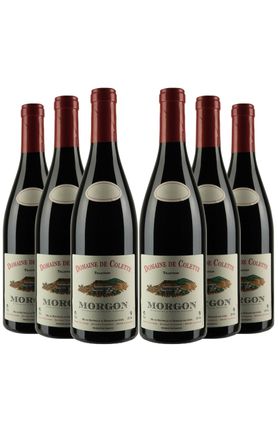 vinho-tinto-domaine-de-colette-morgon-6-gfas